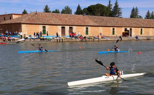 Un momento de la competición en la dársena del Canal de Castilla en Medina de Ríoseco. 