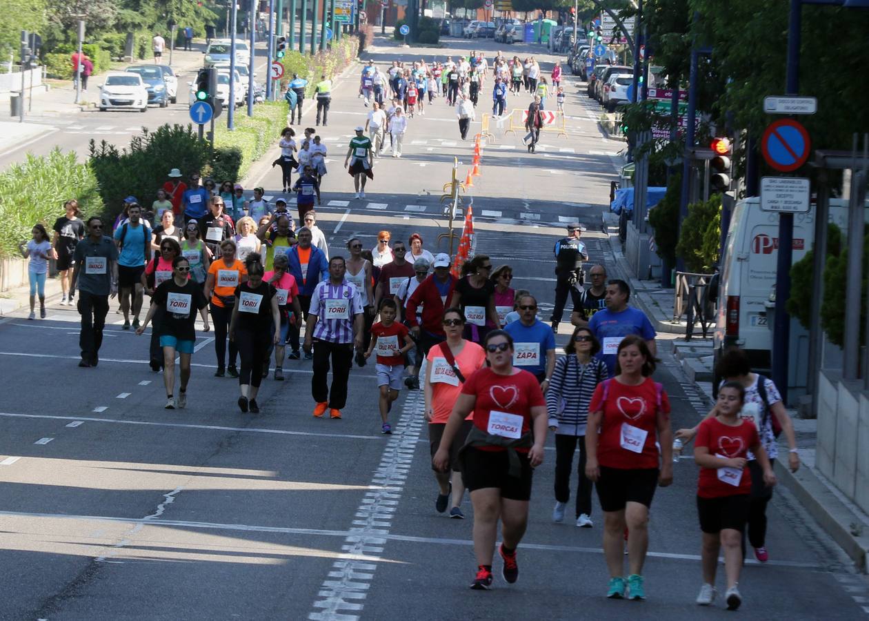 Más de 1.500 personas se han inscrito en esta marcha popular organizada de manera conjunta por El Norte de Castilla y por la Federación de Atletismo de Castilla y León con el espíritu de recorrer los algo más de cinco kilómetros del trazado por las calles más emblemáticas de la ciudad