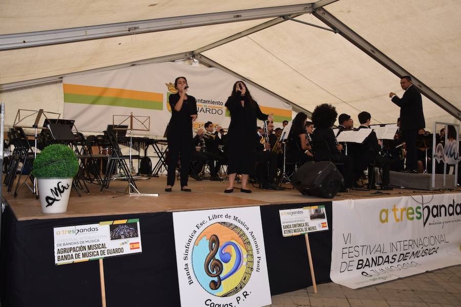 Fotos: Festival de bandas de música en Guardo