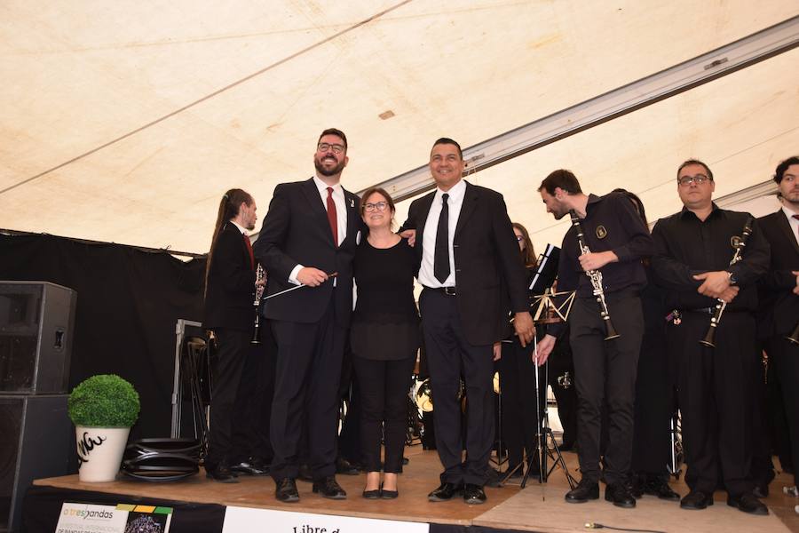 Fotos: Festival de bandas de música en Guardo