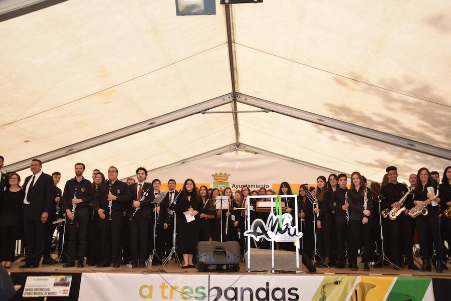 Fotos: Festival de bandas de música en Guardo