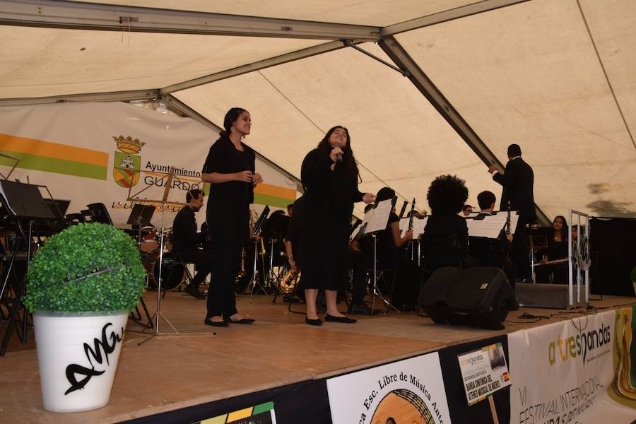 Fotos: Festival de bandas de música en Guardo