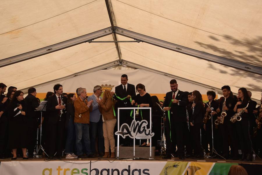 Fotos: Festival de bandas de música en Guardo