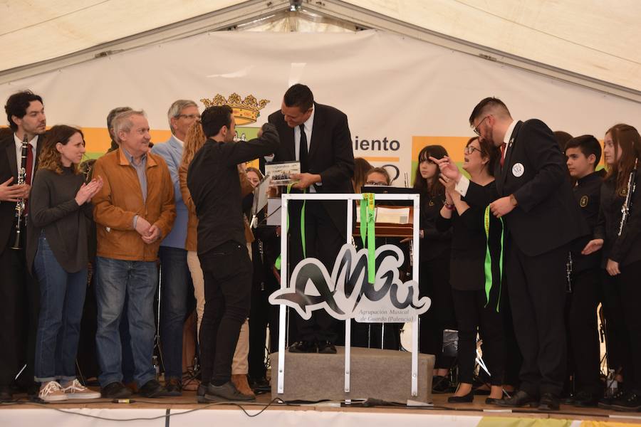 Fotos: Festival de bandas de música en Guardo