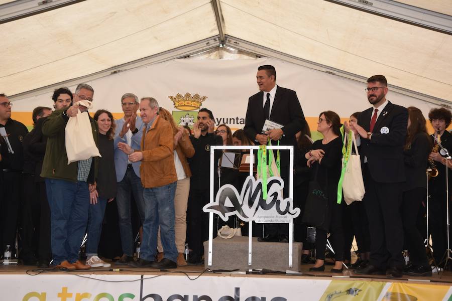 Fotos: Festival de bandas de música en Guardo