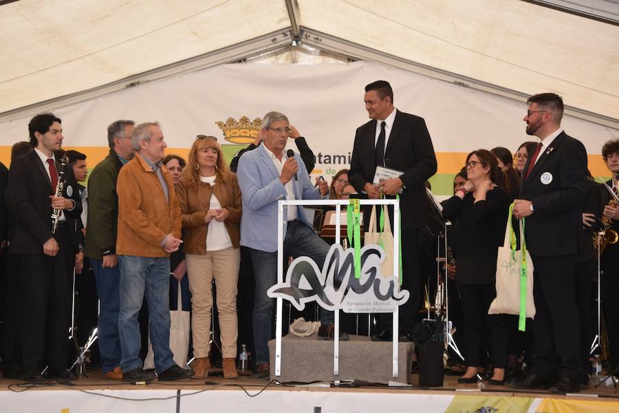 Fotos: Festival de bandas de música en Guardo