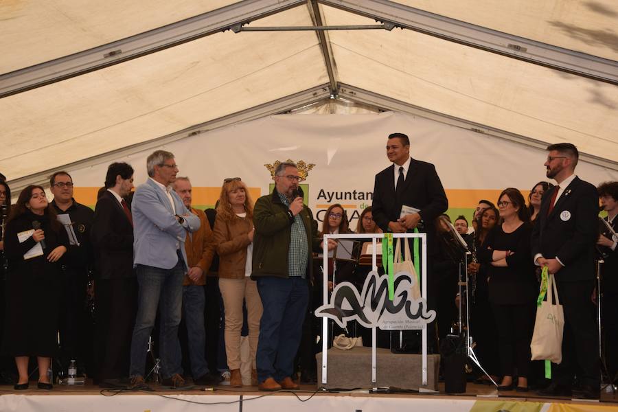 Fotos: Festival de bandas de música en Guardo