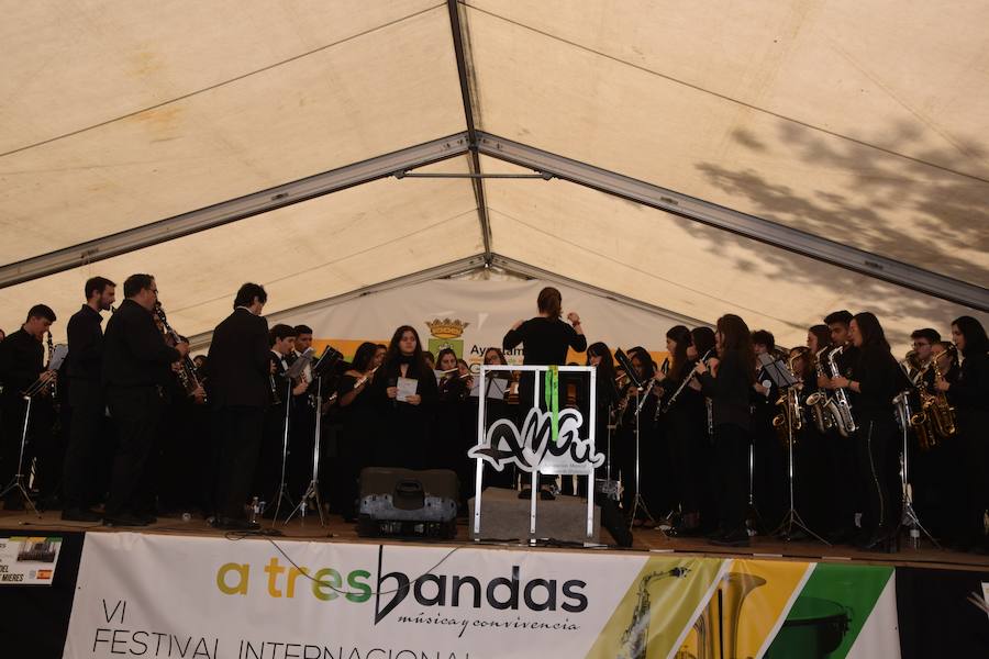 Fotos: Festival de bandas de música en Guardo