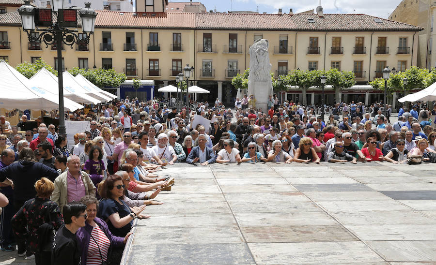 Fotos: Protesta en Palencia ante el acuerdo de PP, Cs y Vox que otorga la Alcaldía a Mario Simón