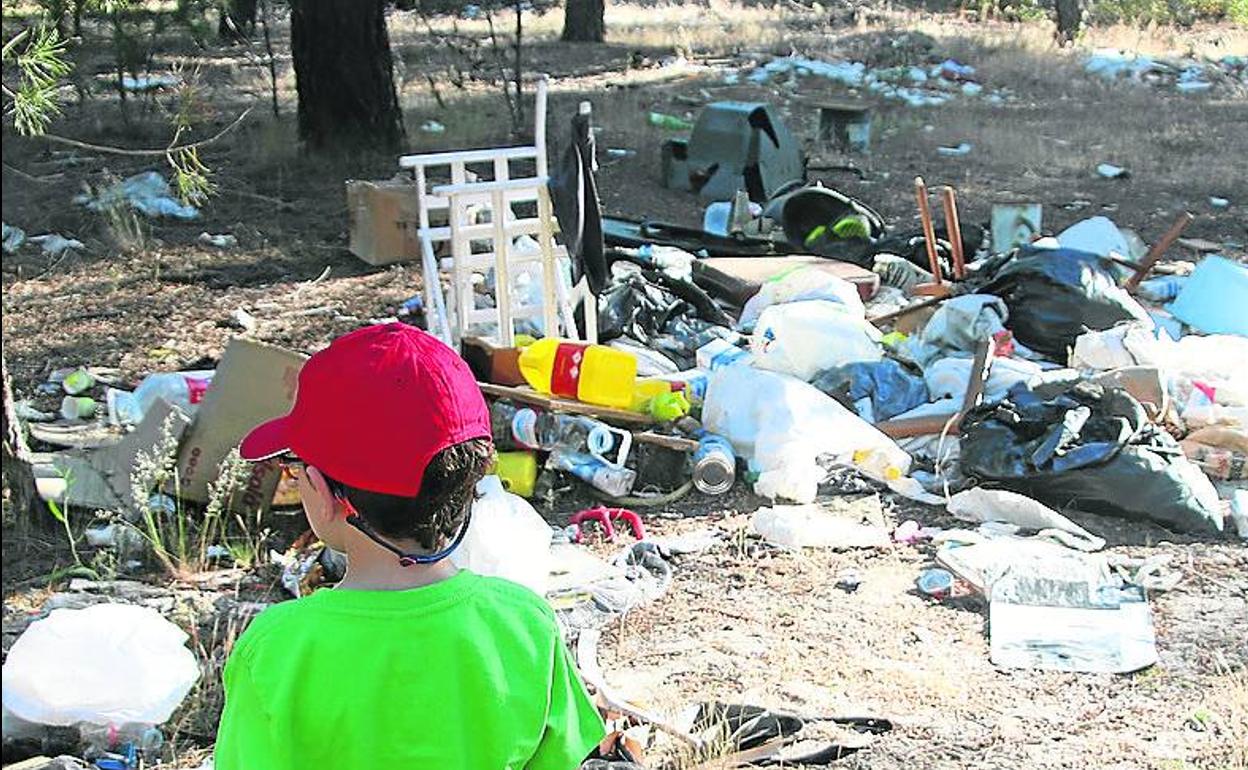 Parte de la basura hallada en el pinar. 