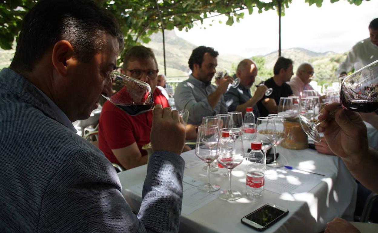 Un momento de la cata de calificación de la añada 2018 de Arribes. 