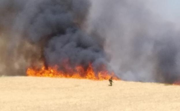 Bomberos de Ávila trabajan para sofocar el fuego en Las Berlanas 