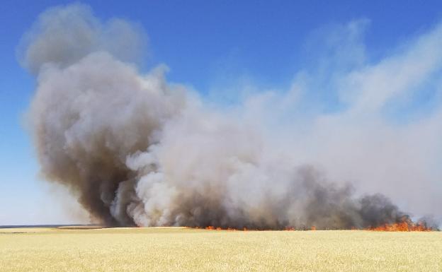 Incendio en Las Berlanas (Ávila) 