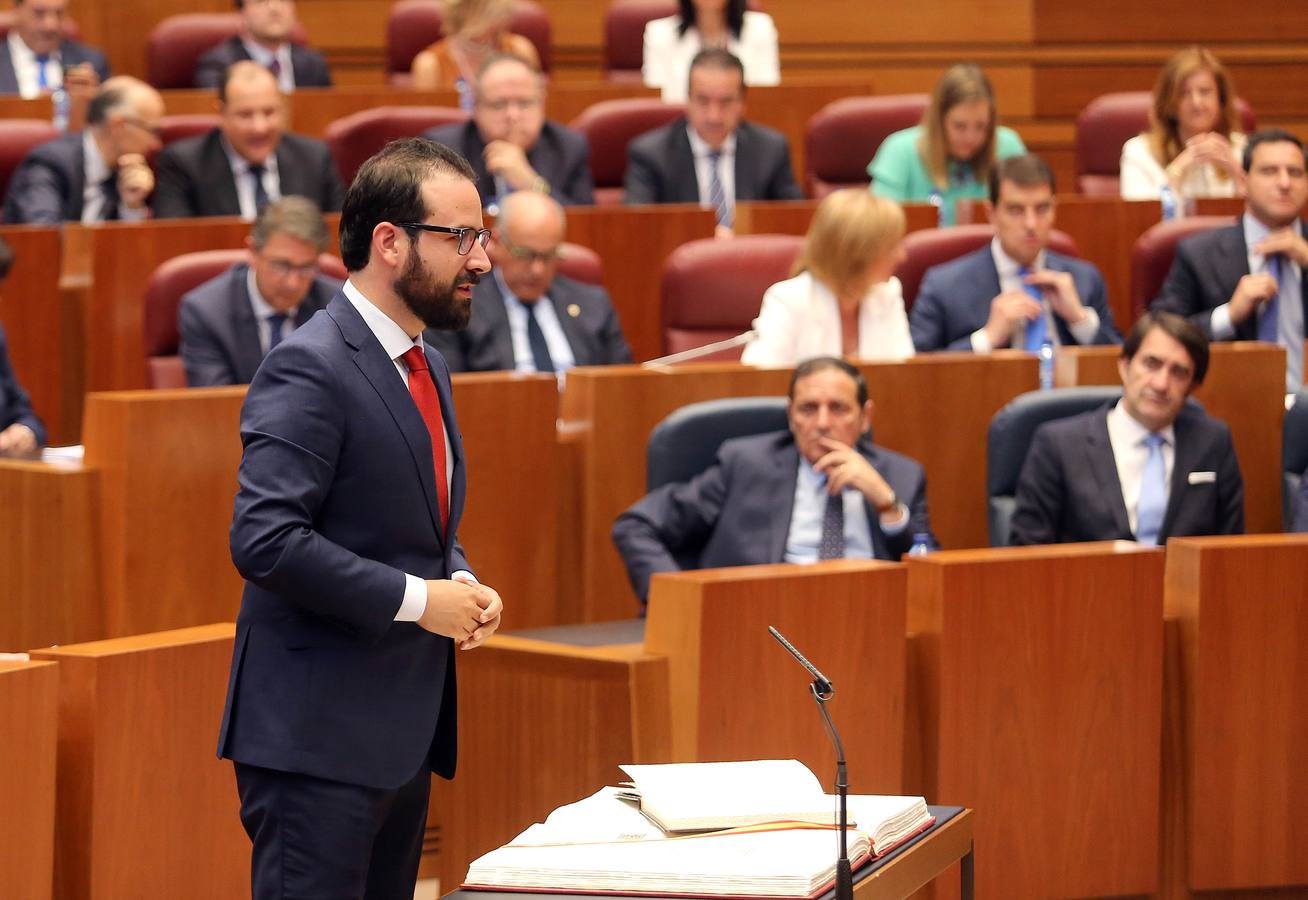 Fotos: Toma de posesión de los nuevos procuradores de las Cortes de Castilla y León