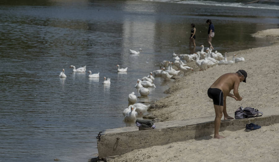 Fotos: Las altas temperaturas llegan a Valladolid