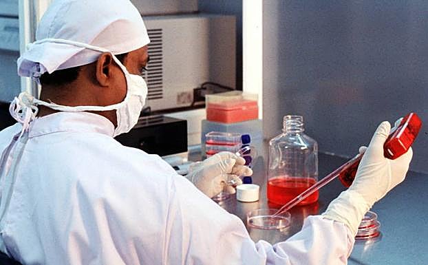 Un genetista trabaja en el laboratorio. 