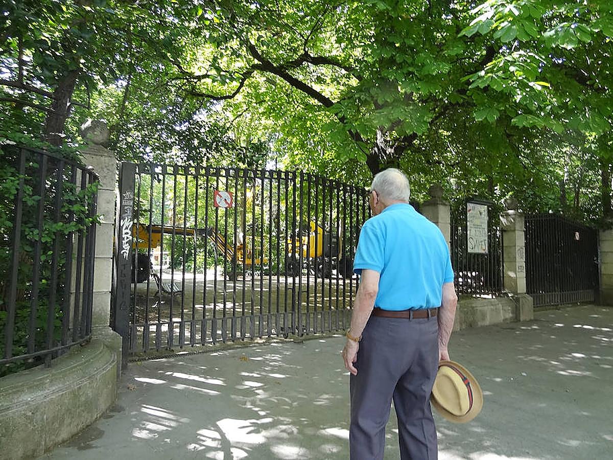 Fotos: Trabajos de acondicionamiento del arbolado del Campo Grande de Valladolid