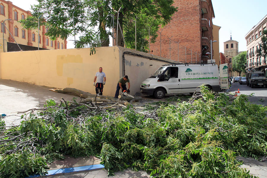 Fotos: Efectos del vendaval en Segovia y Torrecaballeros