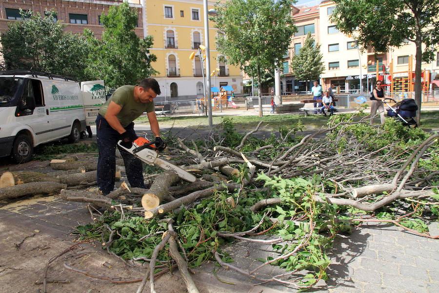 Fotos: Efectos del vendaval en Segovia y Torrecaballeros