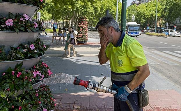 Un operario municipal se refresca mientras riega las plantas. 