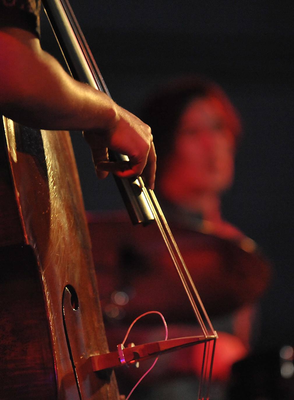 Fotos: Concierto de &#039;Alberícola&#039; en el Festival de Jazz de Medina