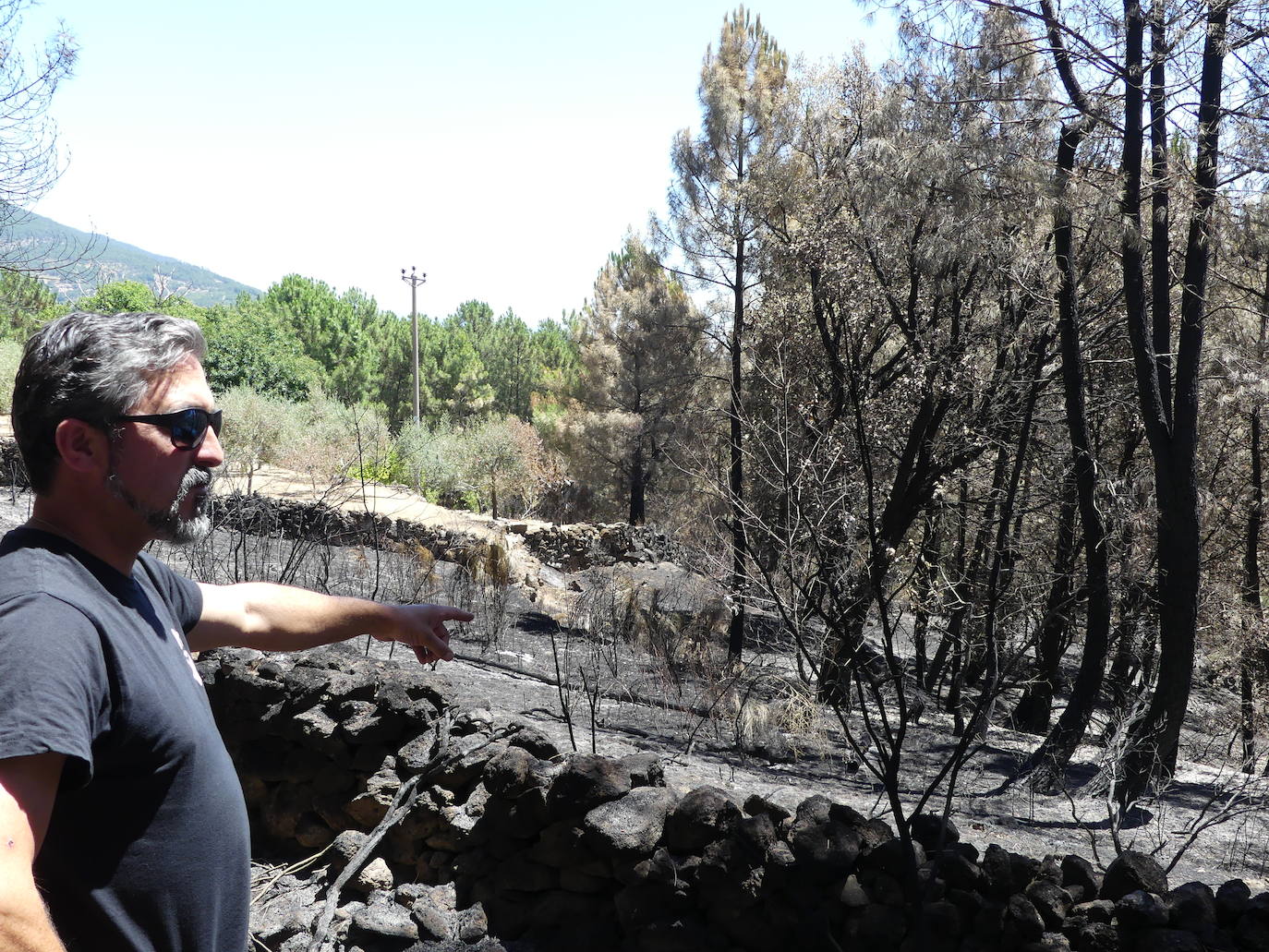 Las localidades abulenses de Pedro Bernardo y Gavilanes han visto arder su sierra durante seis días. A falta de una perimetración exhaustiva, las primeras cifras oficiales hablan de 1.400 hectáreas quemadas.