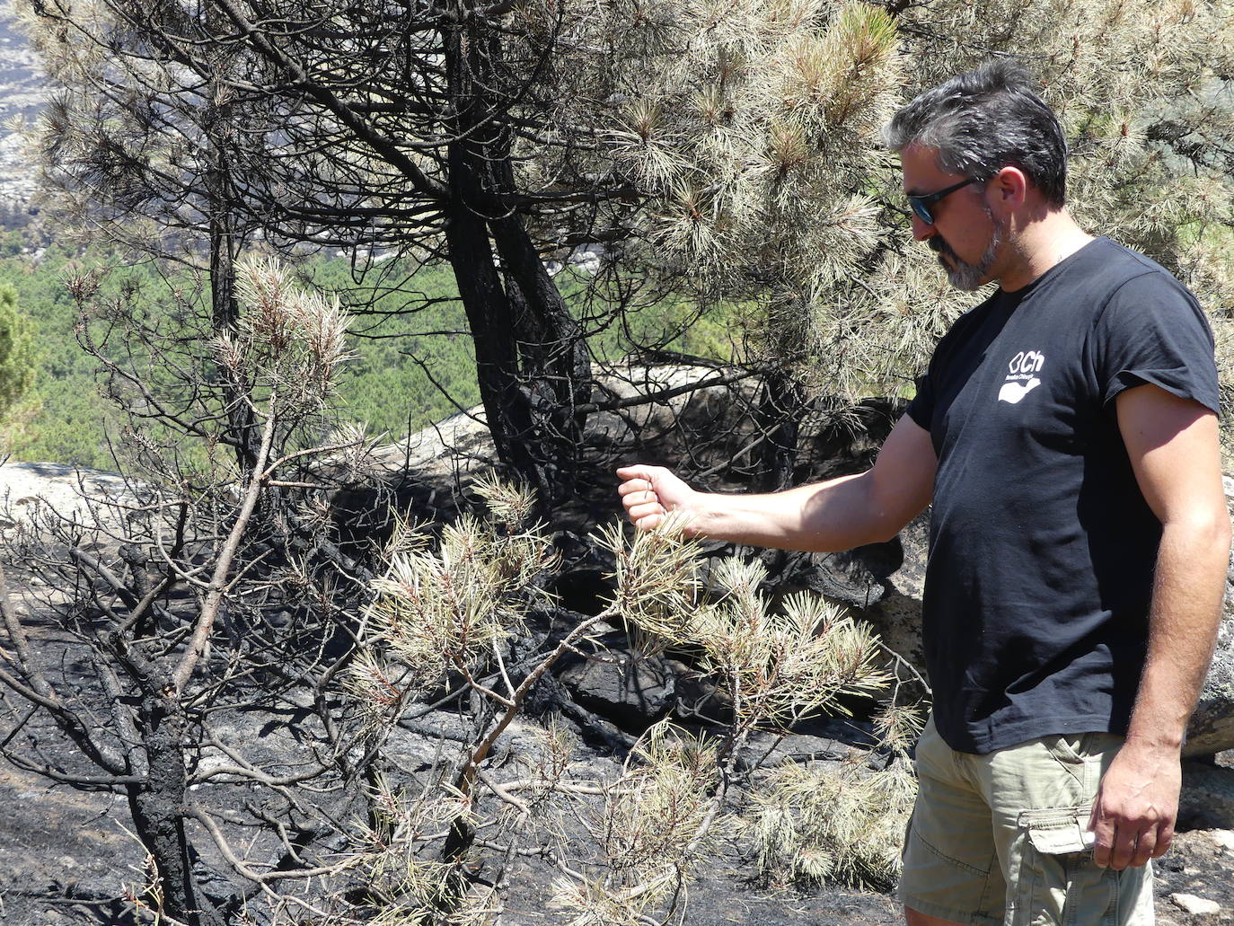 Las localidades abulenses de Pedro Bernardo y Gavilanes han visto arder su sierra durante seis días. A falta de una perimetración exhaustiva, las primeras cifras oficiales hablan de 1.400 hectáreas quemadas.