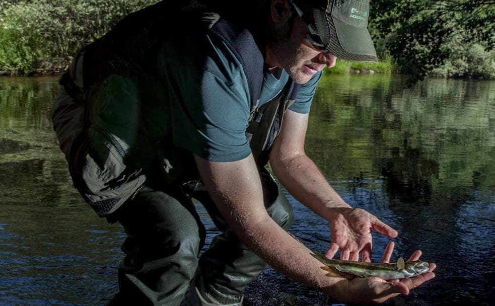 Manuel Mateos observa una pequeña trucha después de pescarla de aguas del río Tera, en El Puente de Sanabria. 