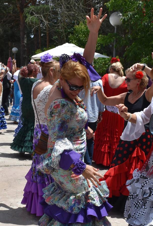 Fotos: V Feria de El Rocío en Aguilar de Campoo