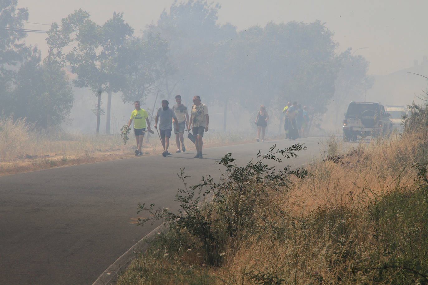 Fotos: Incendio en Trescasas (1)