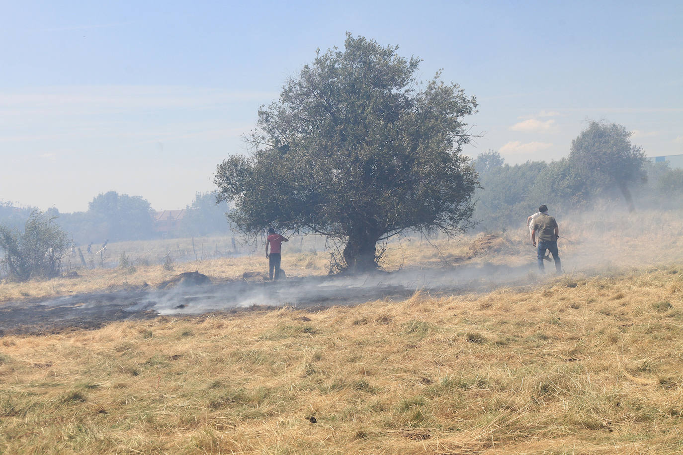 Fotos: Incendio en Trescasas (y 2)
