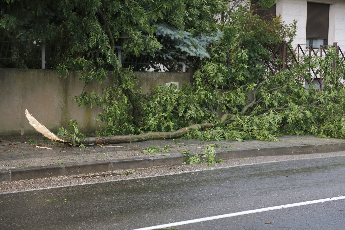 Fotos: Una tormenta anega veinte garajes en Grijota y causa daños en Palencia capital