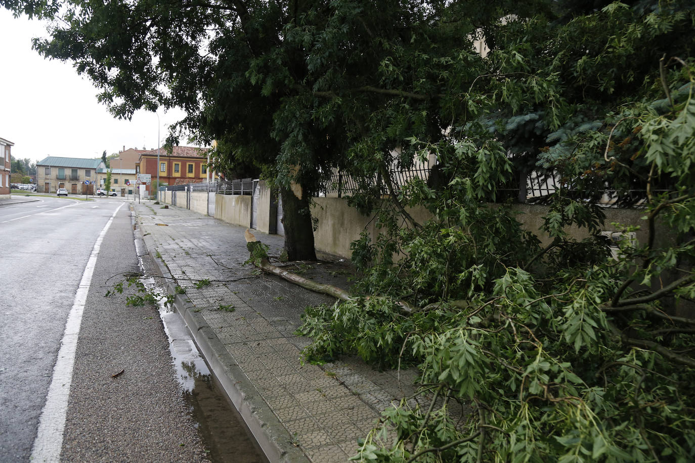 Fotos: Una tormenta anega veinte garajes en Grijota y causa daños en Palencia capital