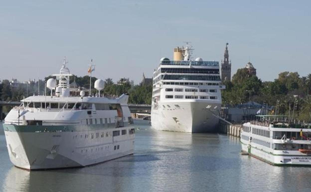 Varios cruceros atracados en el muelle de las Delicias.