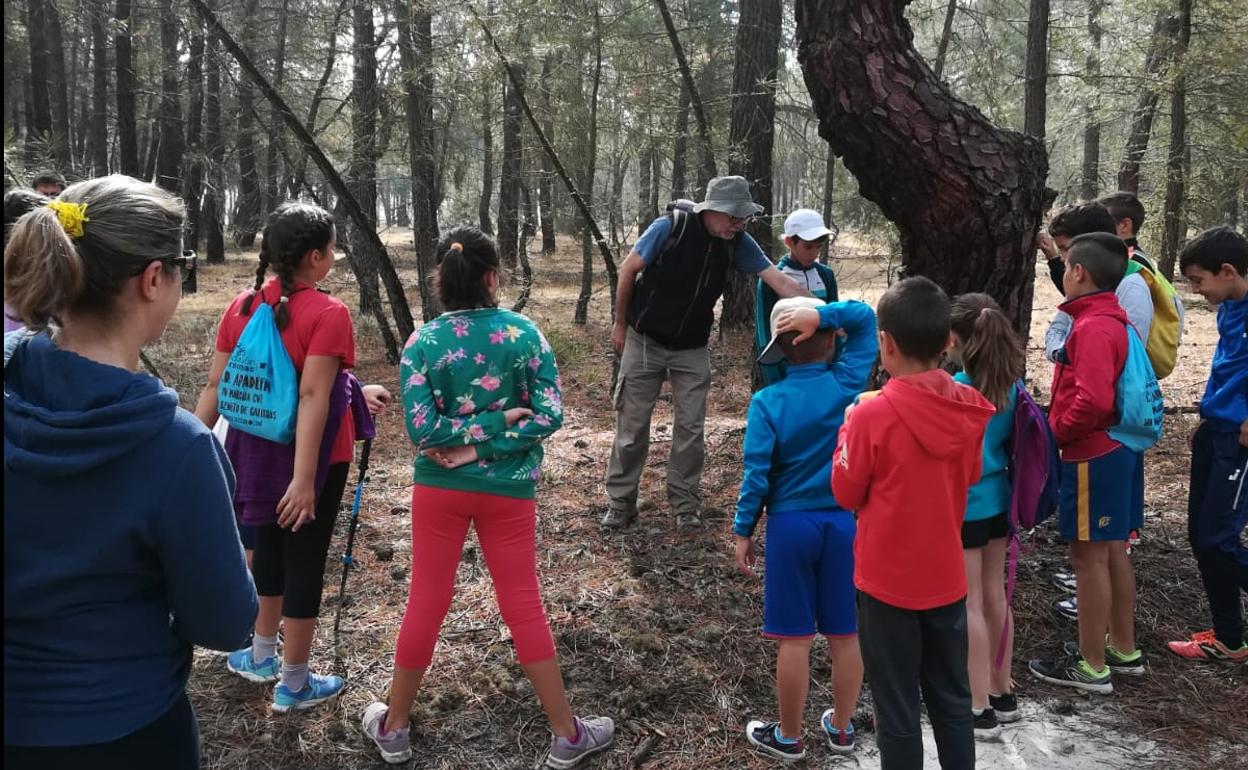 Participantes en uno de los paseos didácticos. 