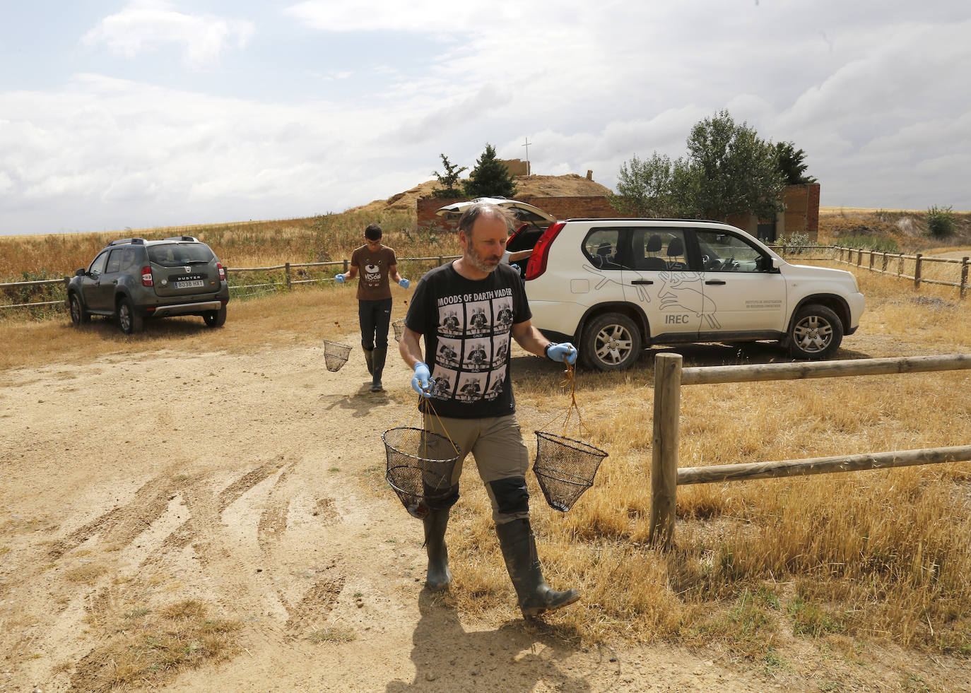 Fotos: Investigadores del Csic estudian la plaga de topillos en tierra de campos ( Palencia )