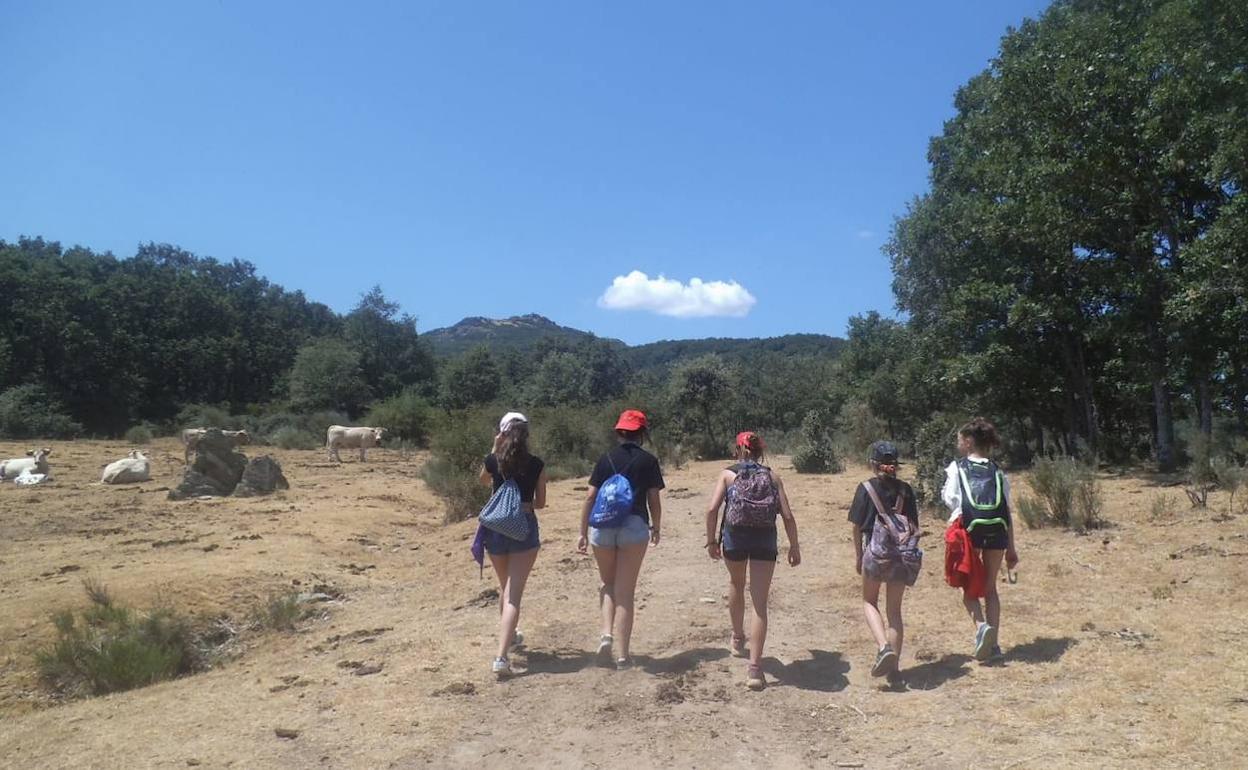 Los pariticipantes caminaron seis kilómetros hasta el Campo de Escurial. 