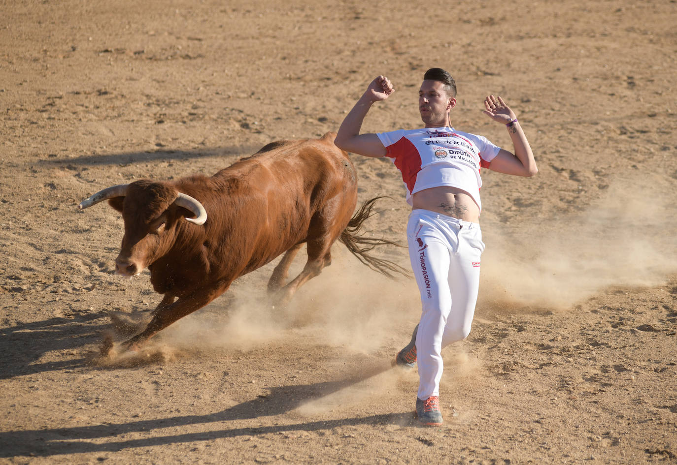 Fotos: Concurso de cortes en Matapozuelos