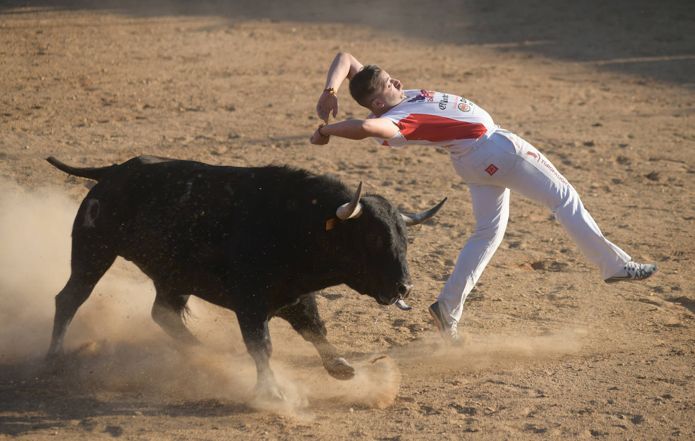 Fotos: Concurso de cortes en Matapozuelos