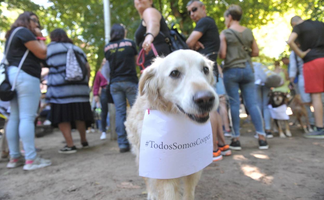 Concentración en el parque canino de Las Moreras por el asesinato de Cooper.