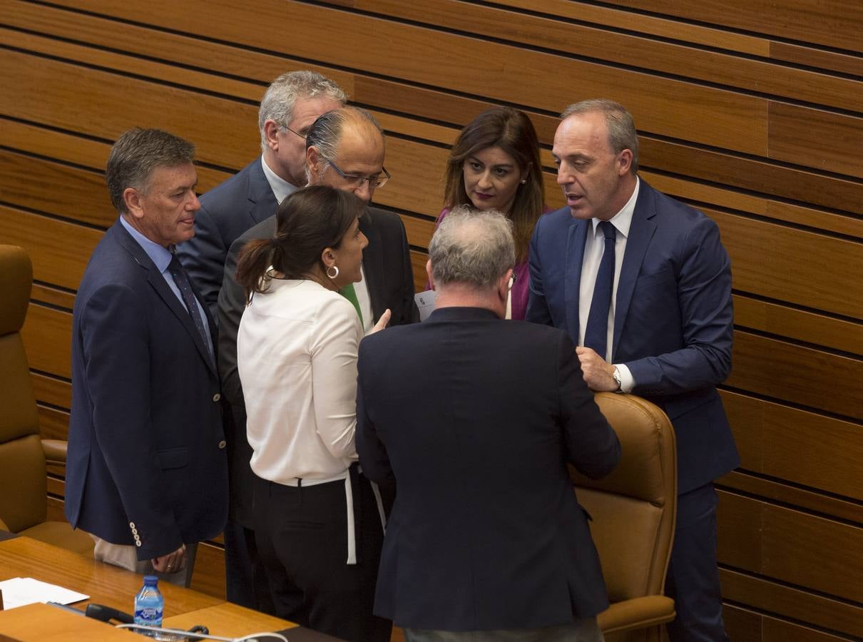 Los votos a favor de PP y Ciudadanos han convertido al vitoriano Javier Maroto en nuevo senador autonómico por Castilla y León | El vicesecretario de Organización del PP (sin vinculación anterior con la comunidad) ha sido elegido como miembro de la Cámara Alta, junto con los socialistas Teresa López y Fran Díaz, en una votación conjunta, no exenta de polémica.