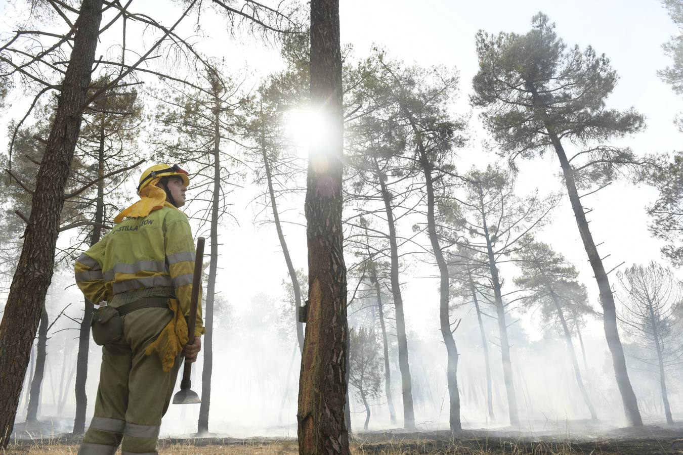 El incendio se ha declarado alrededor de las 15:00 horas en un pinar, en el área recreativa del Puente Hinojo.