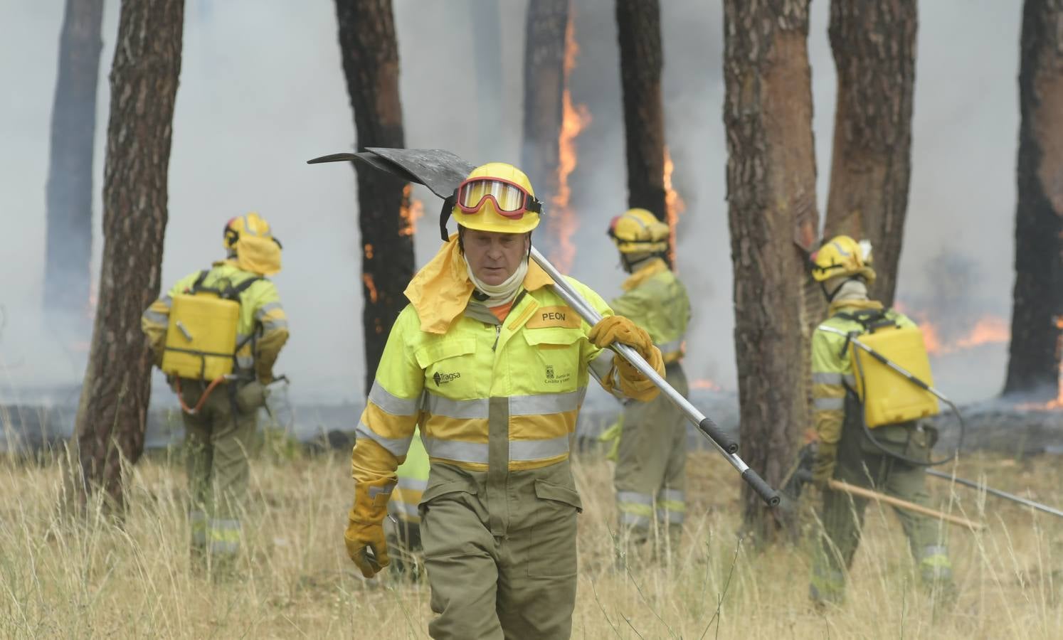 El incendio se ha declarado alrededor de las 15:00 horas en un pinar, en el área recreativa del Puente Hinojo.