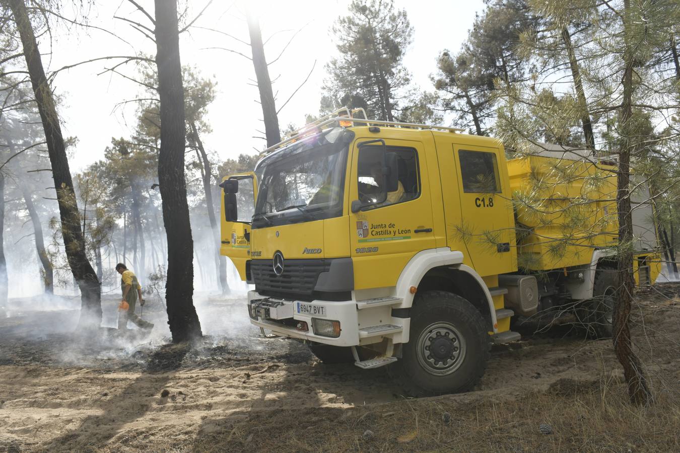 El incendio se ha declarado alrededor de las 15:00 horas en un pinar, en el área recreativa del Puente Hinojo.