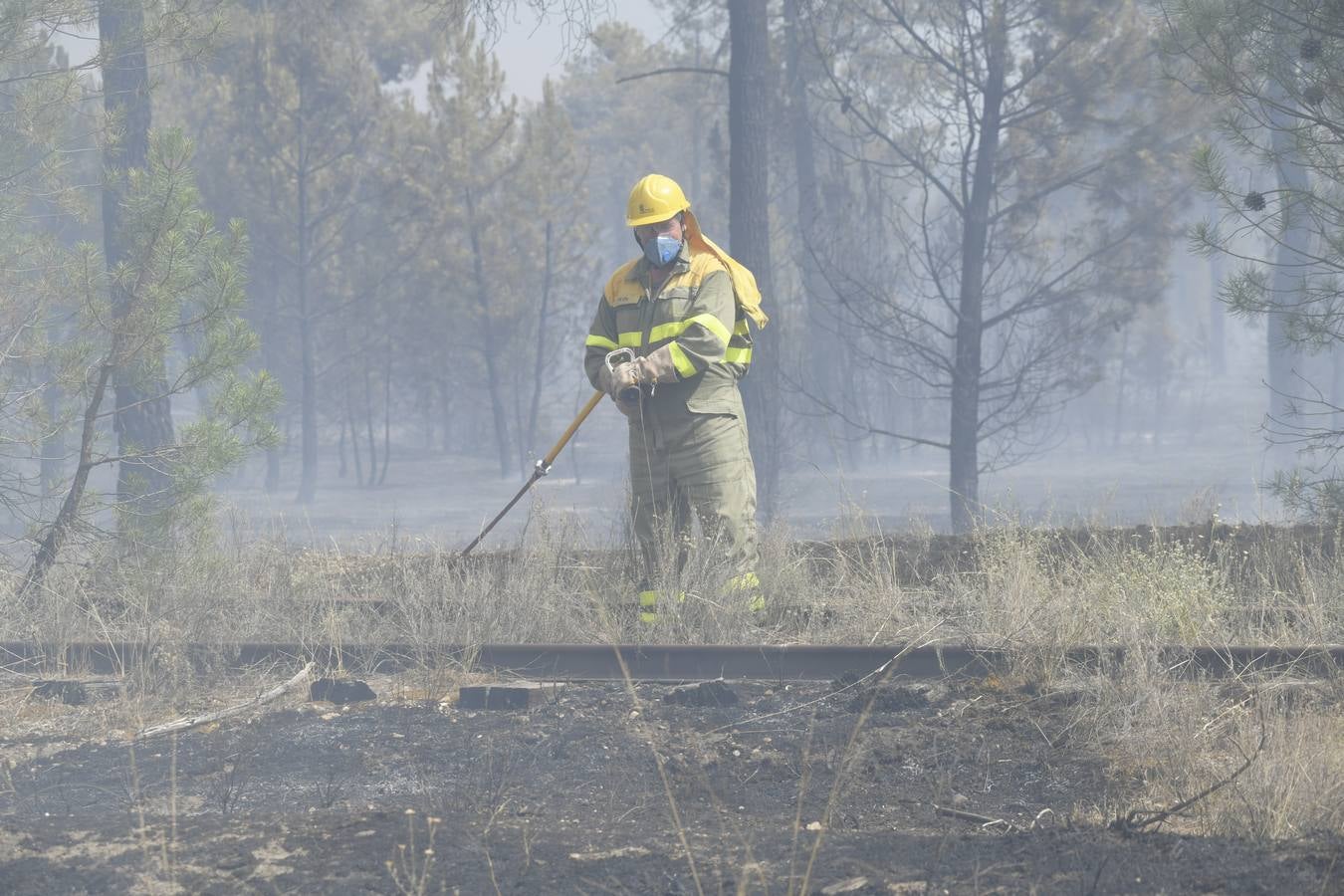 El incendio se ha declarado alrededor de las 15:00 horas en un pinar, en el área recreativa del Puente Hinojo.