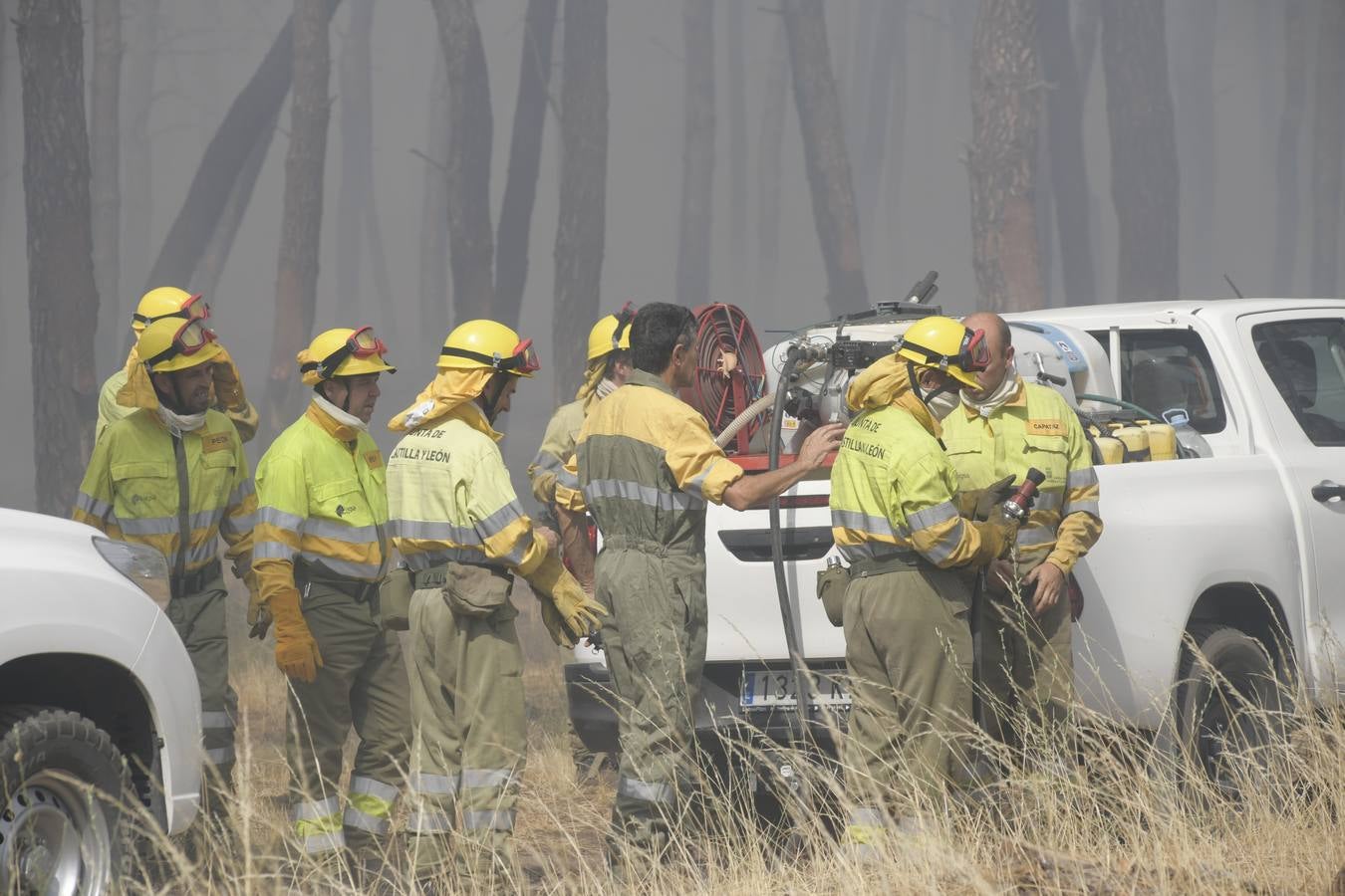 El incendio se ha declarado alrededor de las 15:00 horas en un pinar, en el área recreativa del Puente Hinojo.