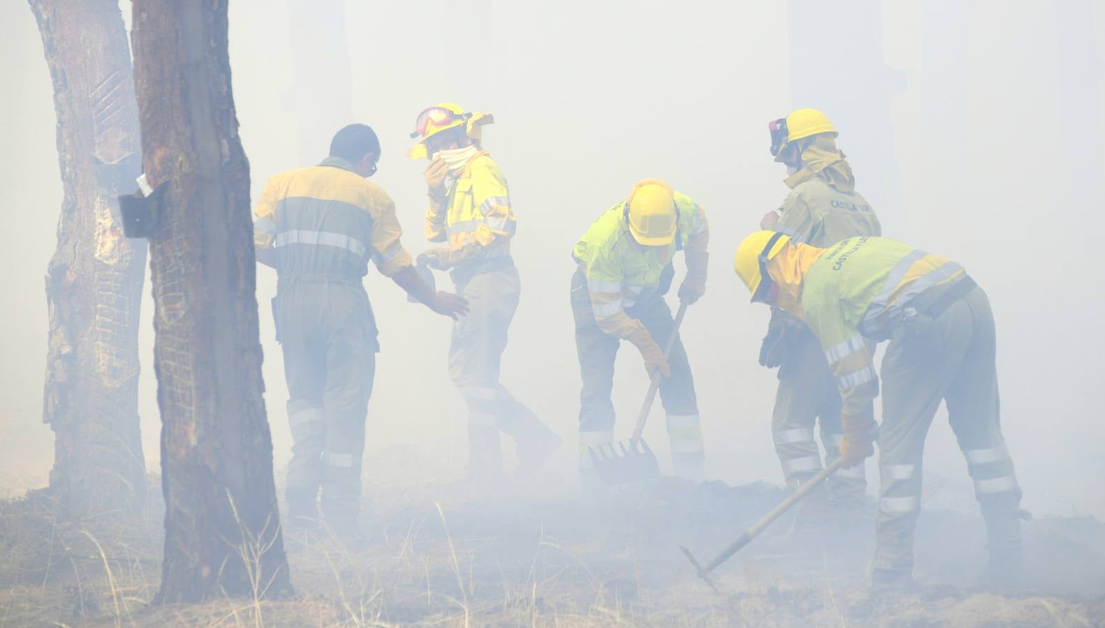 El incendio se ha declarado alrededor de las 15:00 horas en un pinar, en el área recreativa del Puente Hinojo.