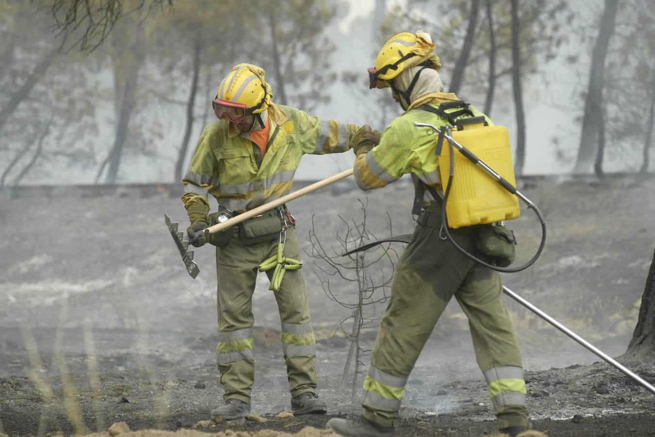 El incendio se ha declarado alrededor de las 15:00 horas en un pinar, en el área recreativa del Puente Hinojo.