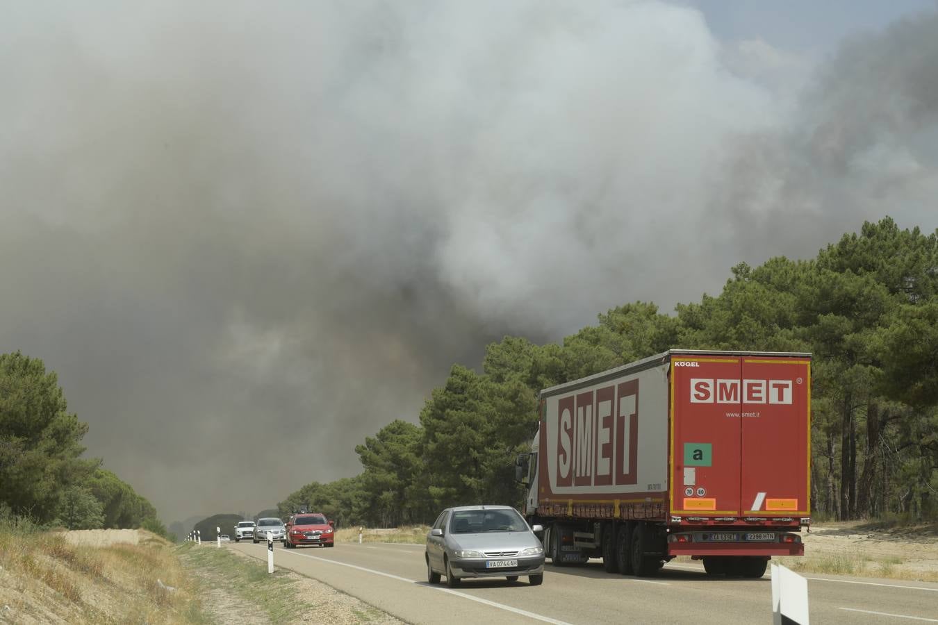 El incendio se ha declarado alrededor de las 15:00 horas en un pinar, en el área recreativa del Puente Hinojo.