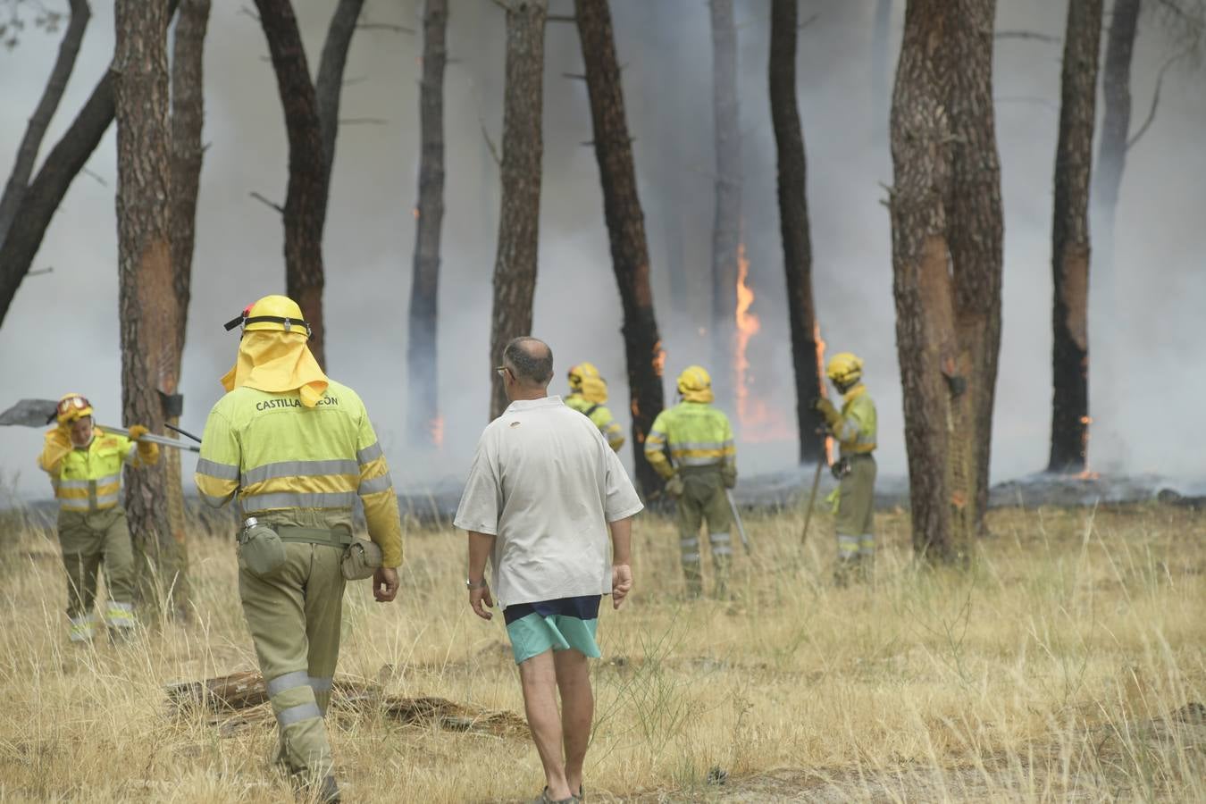 El incendio se ha declarado alrededor de las 15:00 horas en un pinar, en el área recreativa del Puente Hinojo.